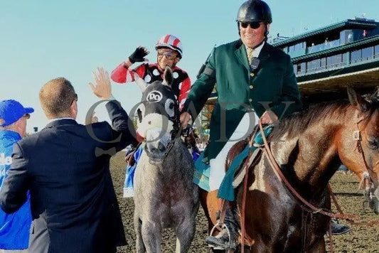Wickedly Perfect - Darley Alcibiades Keeneland