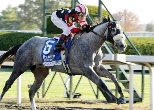 Wickedly Perfect - Darley Alcibiades Keeneland