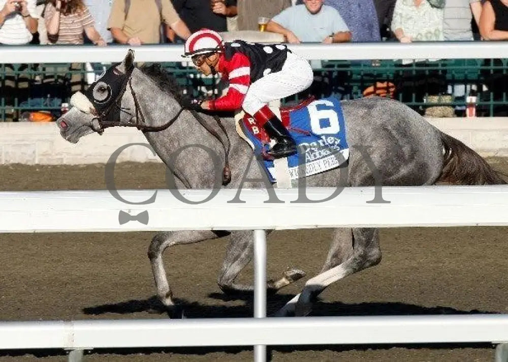 Wickedly Perfect - Darley Alcibiades Keeneland