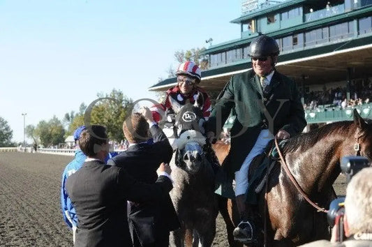 Wickedly Perfect - Darley Alcibiades Keeneland
