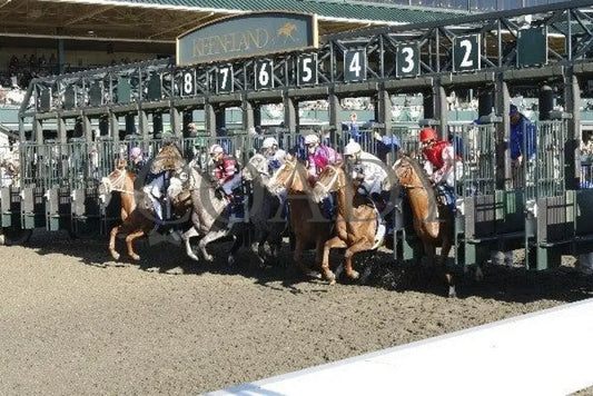 Wickedly Perfect The Darley Alcibiades Keeneland