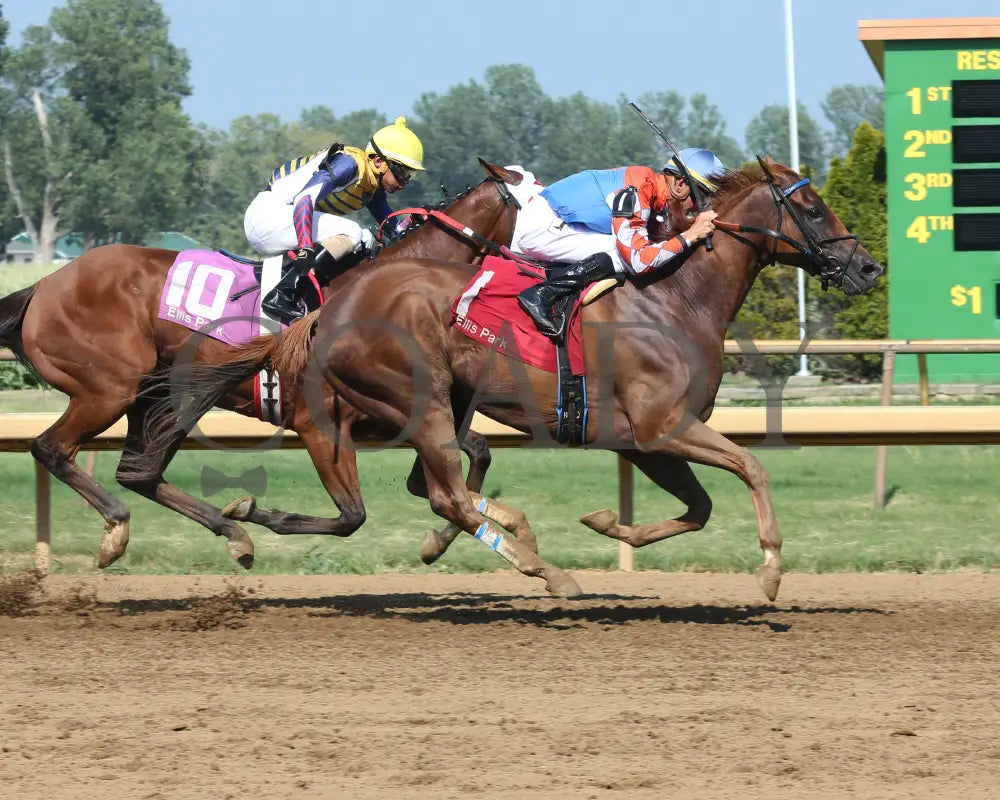 Wilbo - 072217 Race 08 Elp Finish 1 Ellis Park