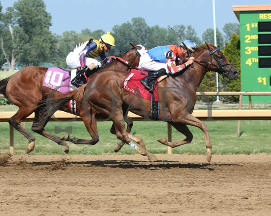 Wilbo - 072217 Race 08 Elp Finish 1 Ellis Park