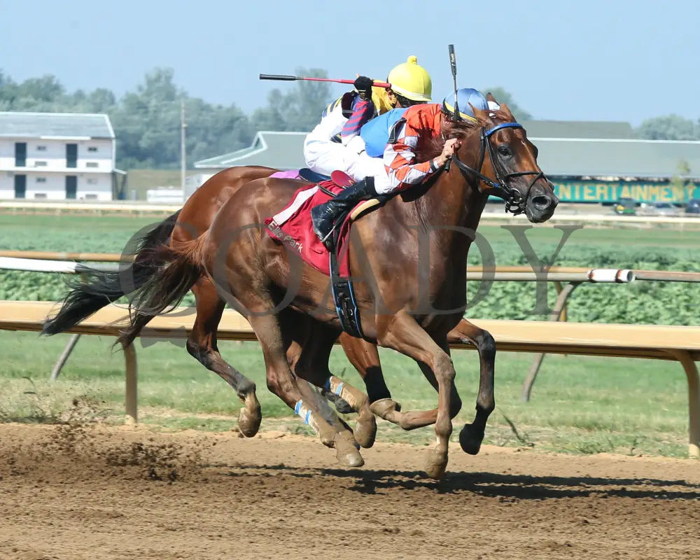 Wilbo - 072217 Race 08 Elp Finish 2 Ellis Park