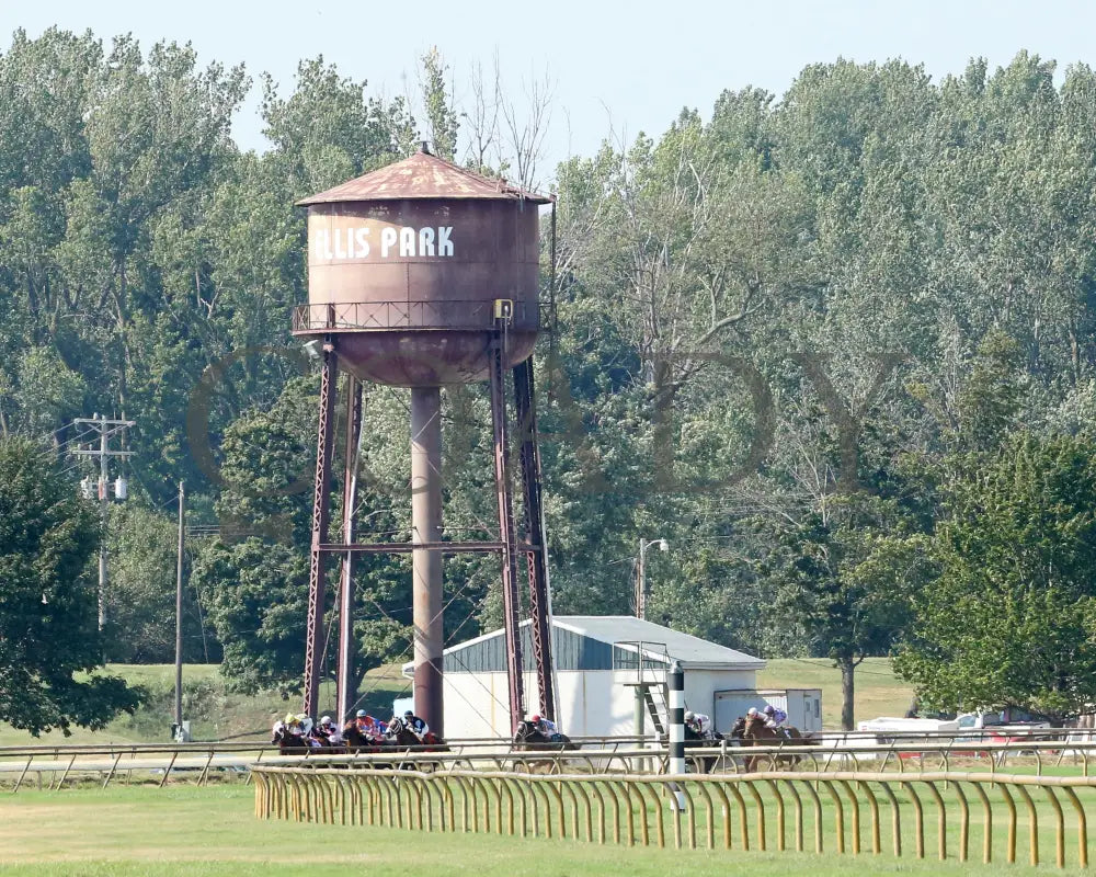 Wilbo - 072217 Race 08 Elp Scenic Ellis Park