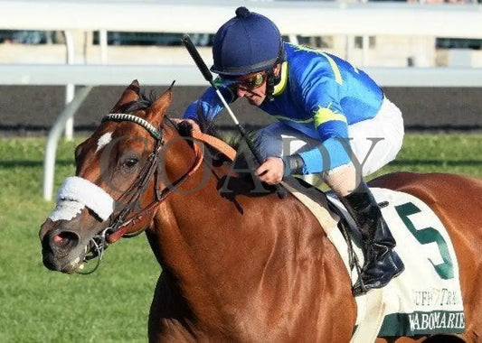 Wild About Marie - Inside Finish 101411 Race 0 Keeneland