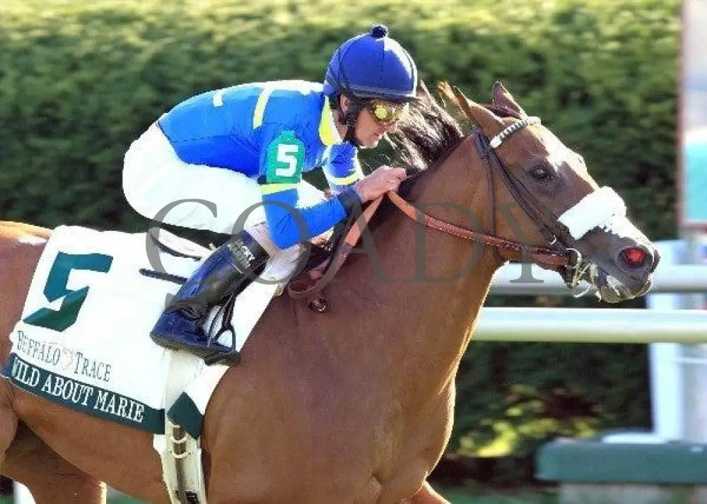 Wild About Marie - Tight Finish 101411 Race 09 Keeneland
