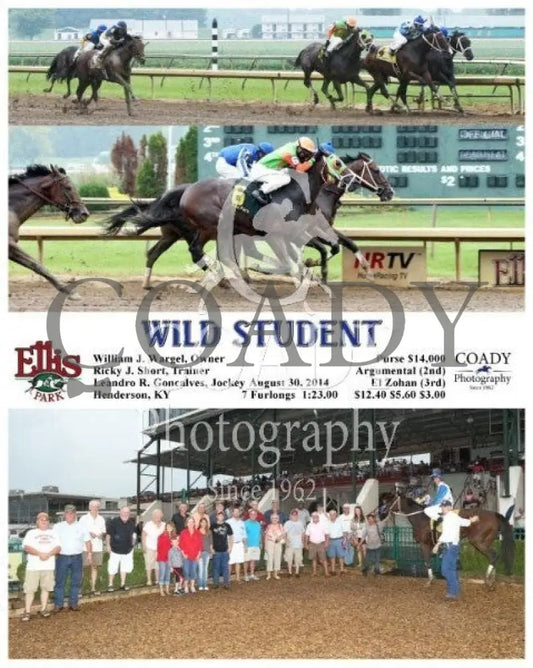 Wild Student - 083014 Race 06 Elp Ellis Park