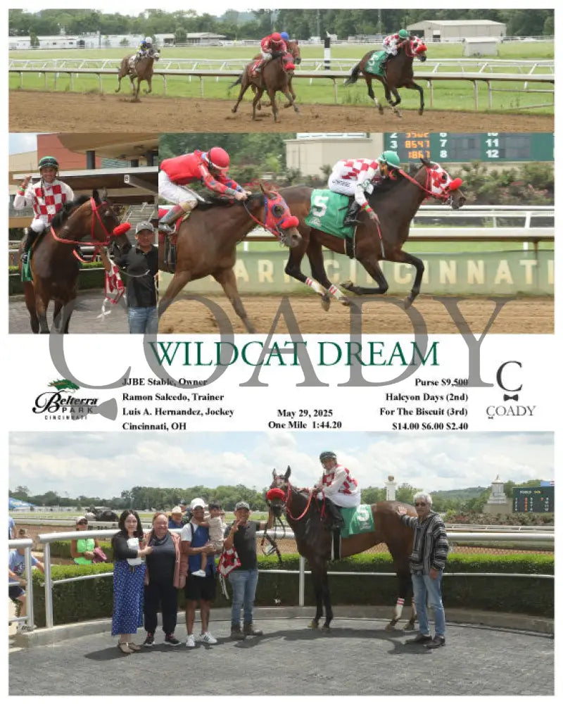 WILDCAT DREAM - 05-29-25 - R03 - BTP Belterra Park