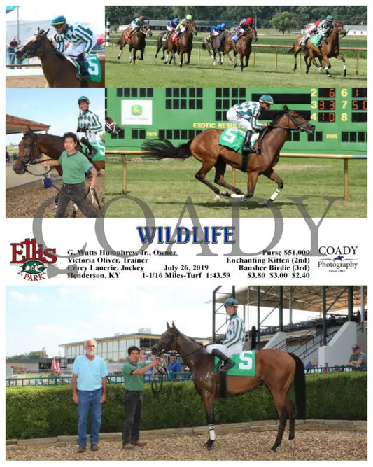 Wildlife - 07-26-19 R08 Elp Ellis Park