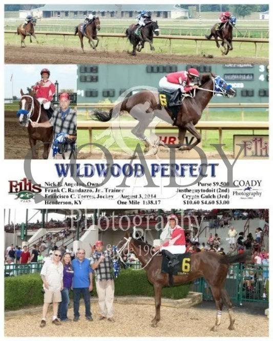 WILDWOOD PERFECT - 080314 - Race 07 - ELP - Coady Media - Kurtis Coady Photography