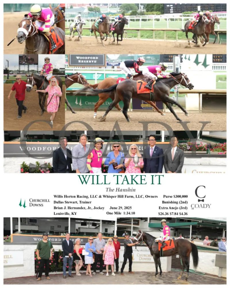 WILL TAKE IT - 062925 - Race 08 - CD Churchill Downs