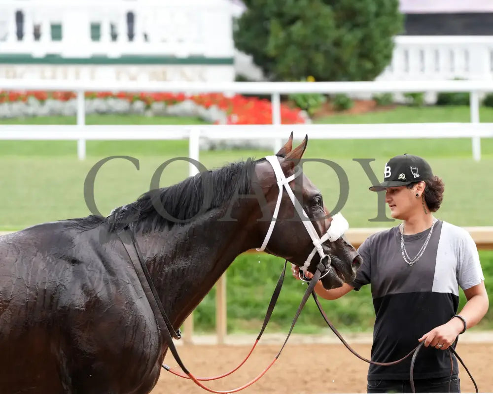 WILL TAKE IT - 062925 - Race 08 - CD - Come Back 02 Churchill Downs