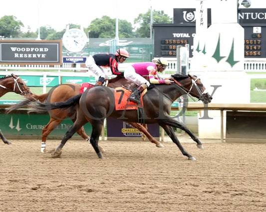 WILL TAKE IT - 062925 - Race 08 - CD - Finish 01 - Coady Media - Kurtis Coady Photography