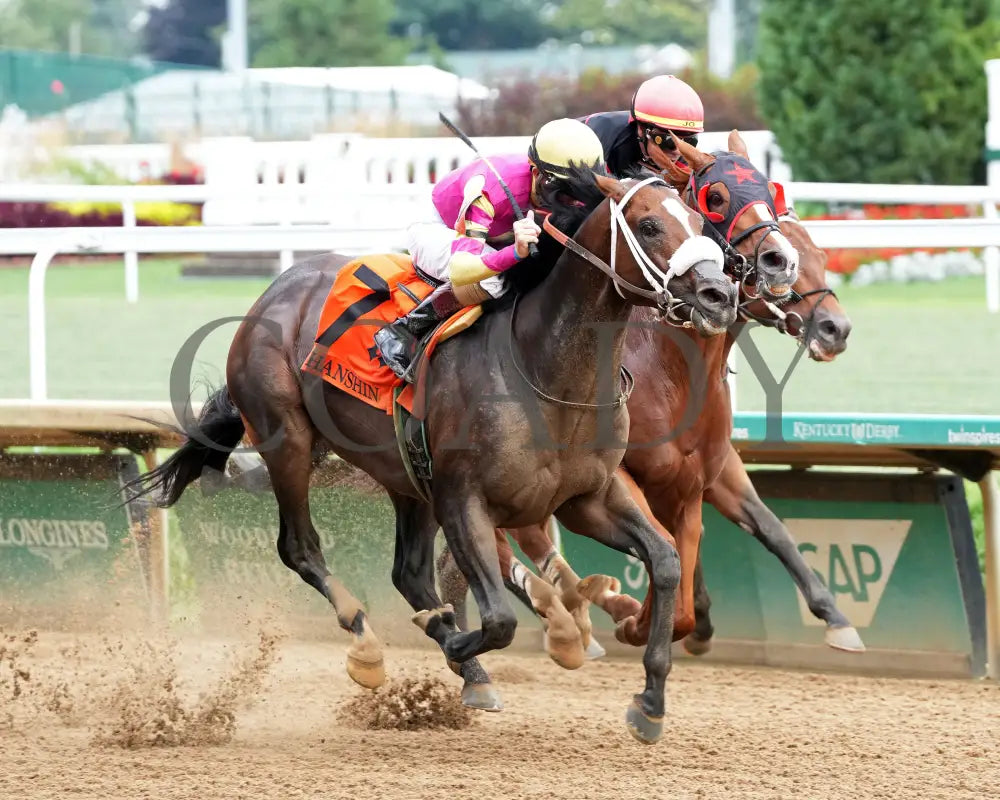 WILL TAKE IT - 062925 - Race 08 - CD - Finish 02 Churchill Downs
