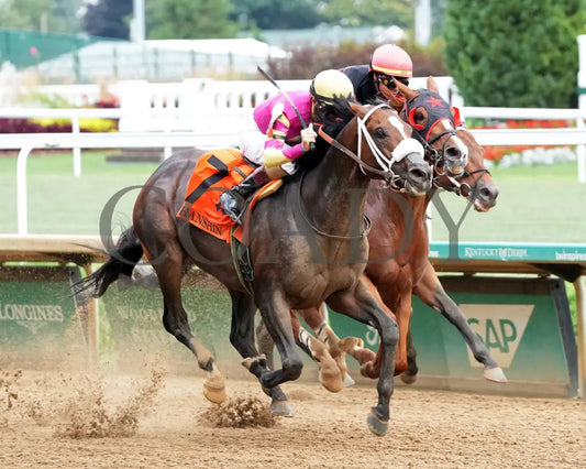 WILL TAKE IT - 062925 - Race 08 - CD - Finish 02 Churchill Downs