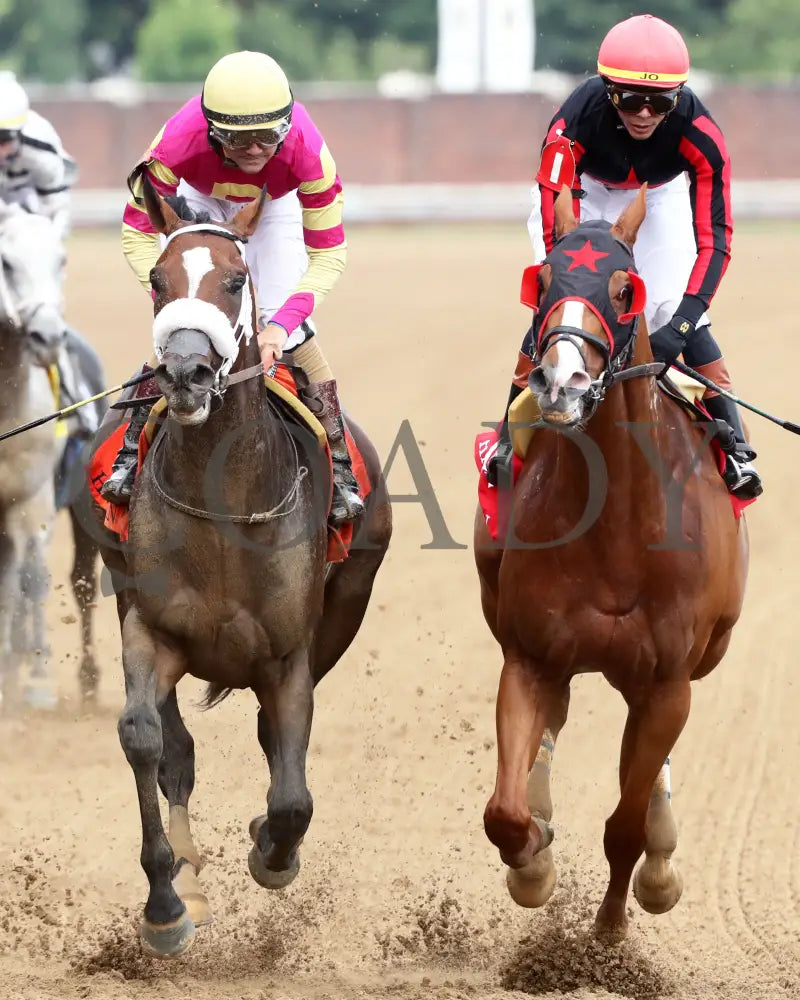 WILL TAKE IT - 062925 - Race 08 - CD - Gallop Out 01 Churchill Downs