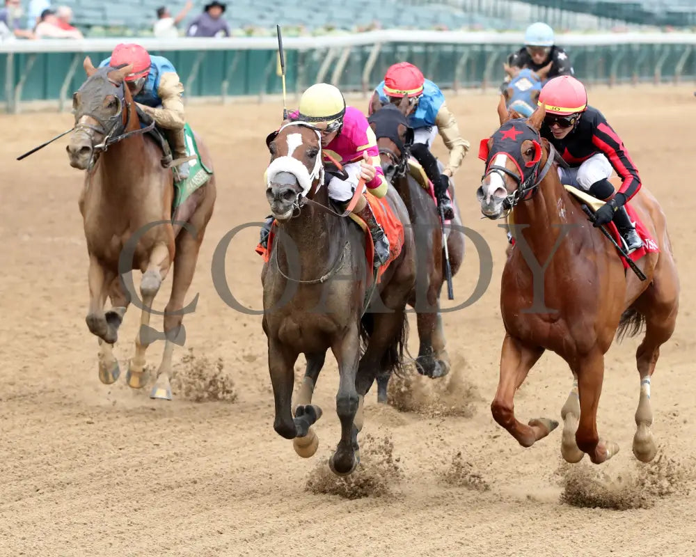 WILL TAKE IT - 062925 - Race 08 - CD - Inside Finish 02 Churchill Downs