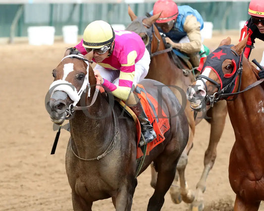 WILL TAKE IT - 062925 - Race 08 - CD - Inside Finish 03 Churchill Downs