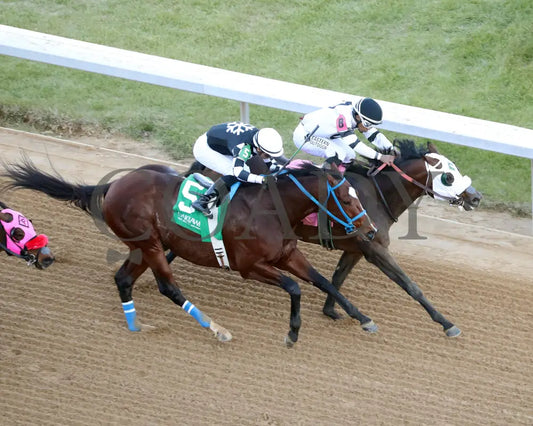 WILL TAKE IT - Fifth Season Stakes  - 02-05-26 - R08 - OP - Aerial Finish 01 - Coady Media - Kurtis Coady Photography