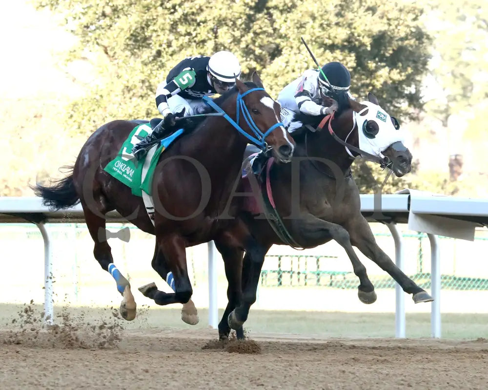 WILL TAKE IT - Fifth Season Stakes  - 02-05-26 - R08 - OP - Finish 02 - Coady Media - Kurtis Coady Photography