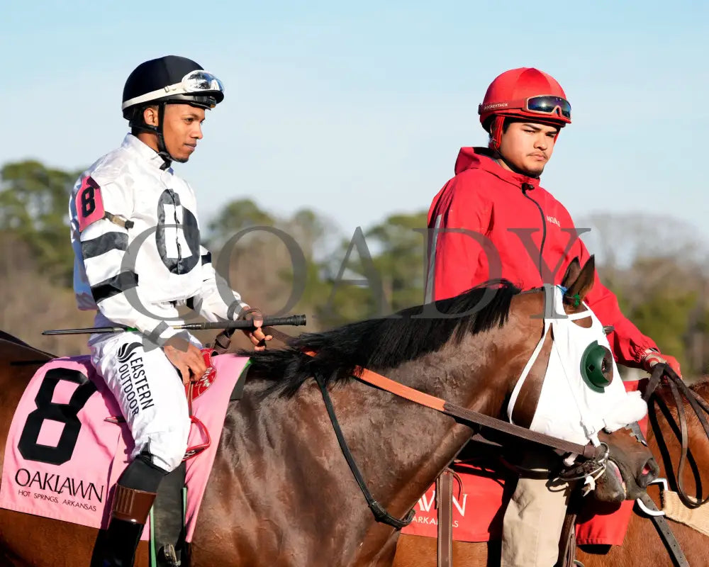 WILL TAKE IT - Fifth Season Stakes  - 02-05-26 - R08 - OP - Post Parade 01 - Coady Media - Kurtis Coady Photography