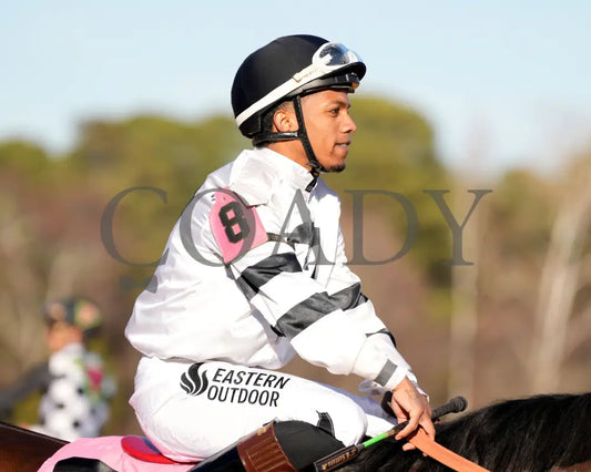 WILL TAKE IT - Fifth Season Stakes  - 02-05-26 - R08 - OP - Post Parade 02 - Coady Media - Kurtis Coady Photography