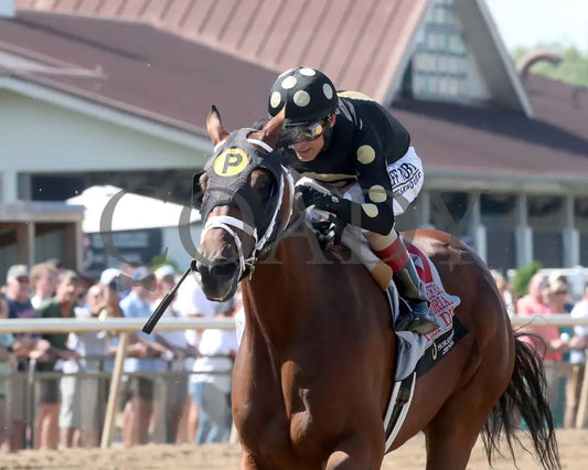 WILLY D’S - Michael G Schaefer Memorial - 07-05-25 - R09 - Horseshoe Indiana - Inside Finish 01 - Renee Torbit Indiana
