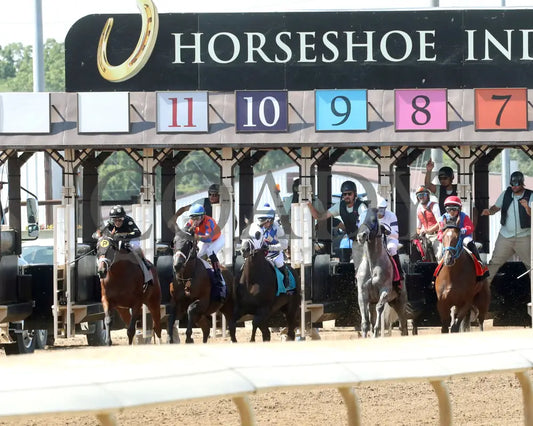 WILLY D’S - Michael G Schaefer Memorial - 07-05-25 - R09 - Horseshoe Indiana - Start 02 - Renee Torbit Indiana Grand