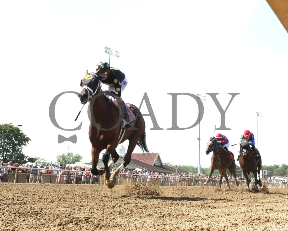 WILLY D’S - Michael G Schaefer Memorial - 07-05-25 - R09 - Horseshoe Indiana - Under Rail 01 - Renee Torbit Indiana