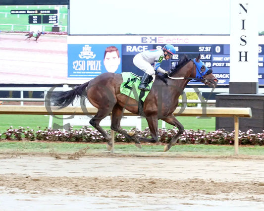 Win Me Over - Nobody Listens 28Th Running 06-26-24 R08 Horseshoe Indiana Finish 01 Sammantha Pagels