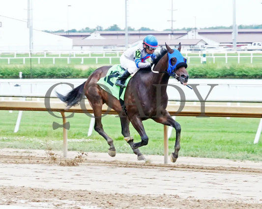 Win Me Over - Nobody Listens 28Th Running 06-26-24 R08 Horseshoe Indiana Finish 02 Sammantha Pagels