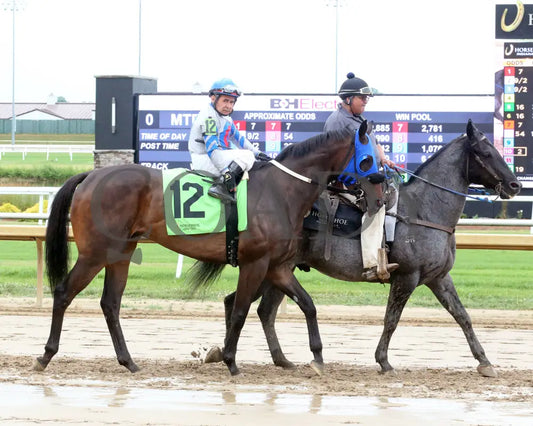 Win Me Over - Nobody Listens 28Th Running 06-26-24 R08 Horseshoe Indiana Post Parade 01 Sammantha