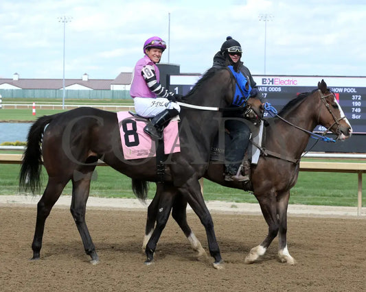 WIN ME OVER - The Brian Elmore Overnight Handicap - 04-15-25 - R07 - Horseshoe Indiana - Post Parade 02 - Sammantha