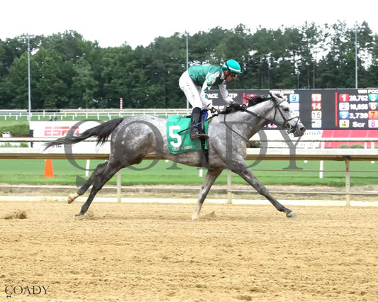 WINFINITY - The Miss Disco Stakes - 07-12-25 - R05 - CNL - Finish 01 Colonial Downs