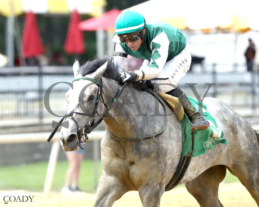 WINFINITY - The Miss Disco Stakes - 07-12-25 - R05 - CNL - Inside Finish 01 Colonial Downs