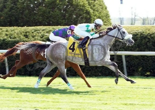 Winter Memories - The Appalachian Gr Iii Fin Keeneland