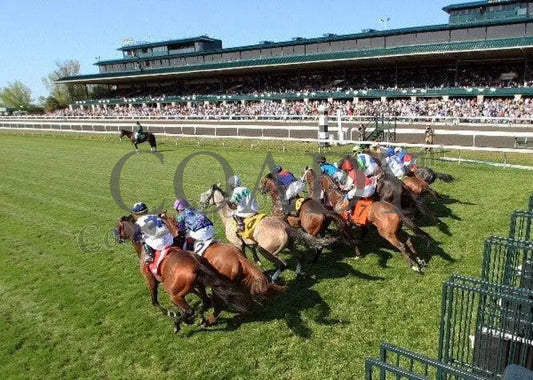 Winter Memories - The Appalachian Gr Iii Gate Keeneland