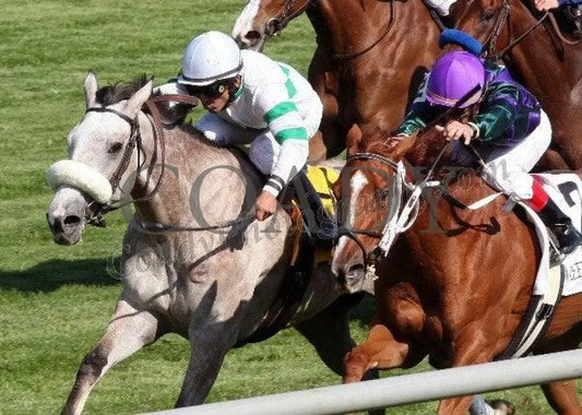 Winter Memories - The Appalachian Gr Iii Inside Keeneland