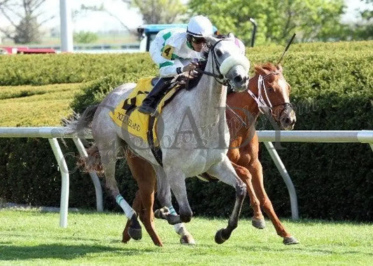 Winter Memories - The Appalachian Gr Iii Stretch Keeneland
