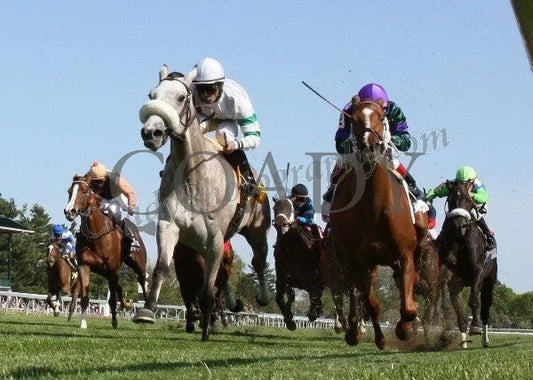 Winter Memories - The Appalachian Gr Iii Under R Keeneland