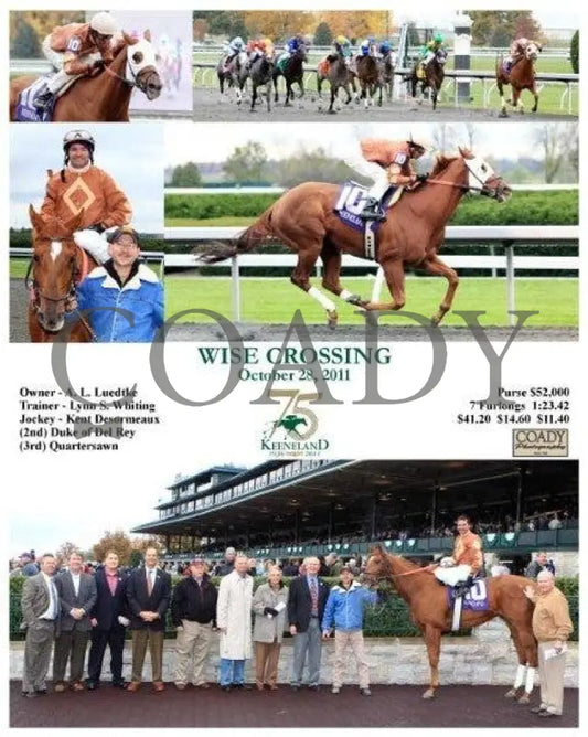 Wise Crossing - 102811 Keeneland