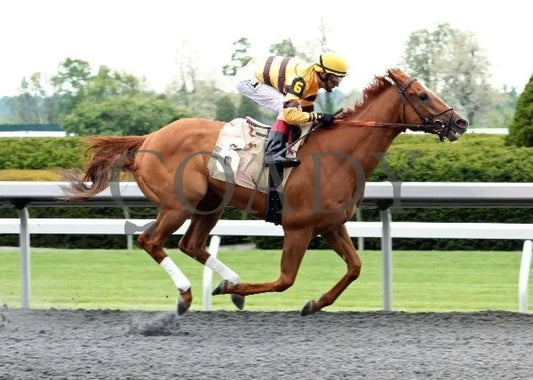 Wise Dan - 042212 Race 08 Fin Keeneland