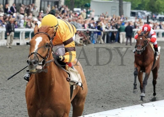 Wise Dan - 042212 Race 08 Inside Fin Keeneland