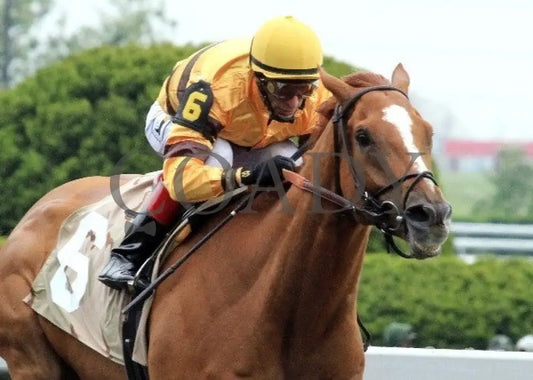 Wise Dan - 042212 Race 08 Tightfin Keeneland