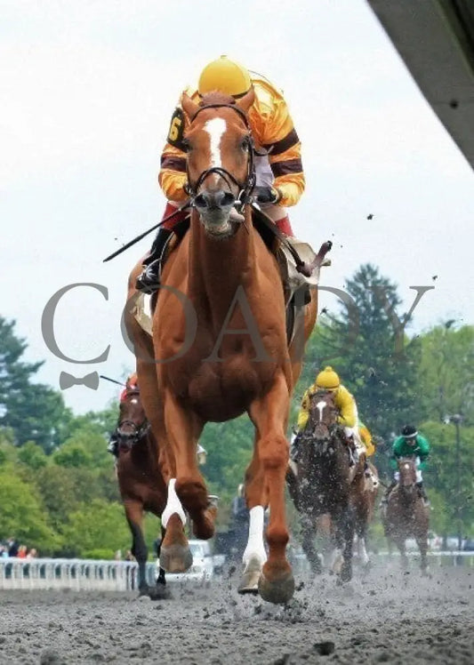 Wise Dan - 042212 Race 08 Under Rail Keeneland