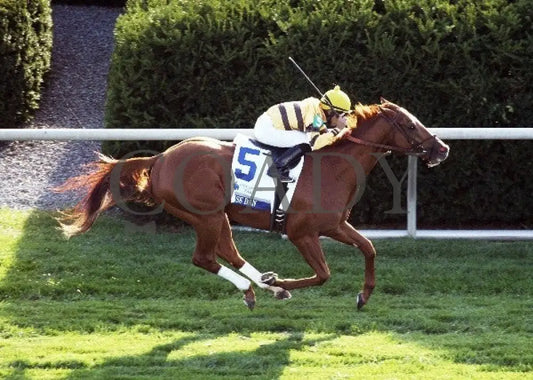Wise Dan - 100612 Race 09 Aerial Keeneland