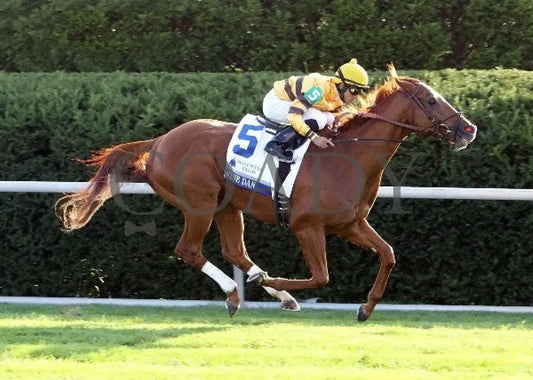 Wise Dan - 100612 Race 09 Finish Keeneland