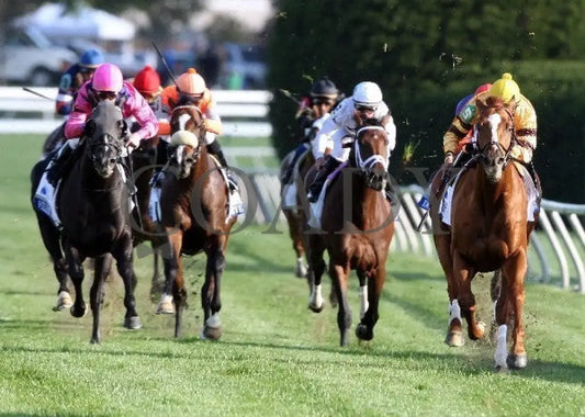 Wise Dan - 100612 Race 09 Head On Keeneland