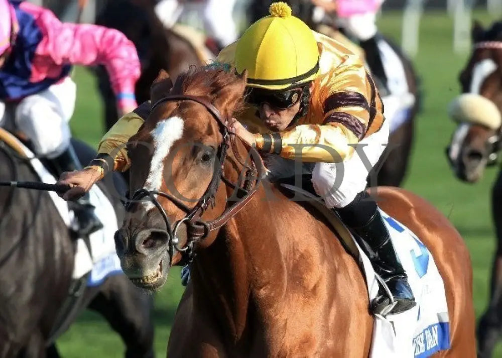 Wise Dan - 100612 Race 09 Inisde Keeneland